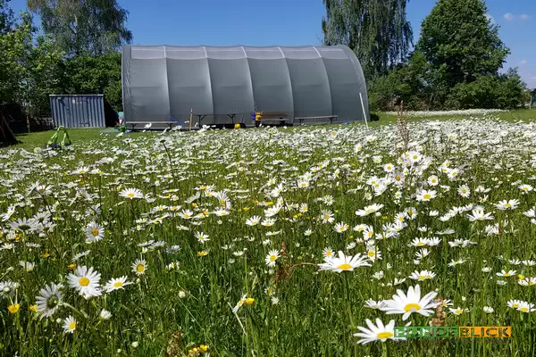 Hundeplatz-Ehingen-5 Trainingshalle in Ehingen
