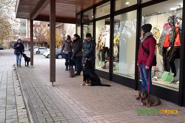 Stadttraining in Meitingen