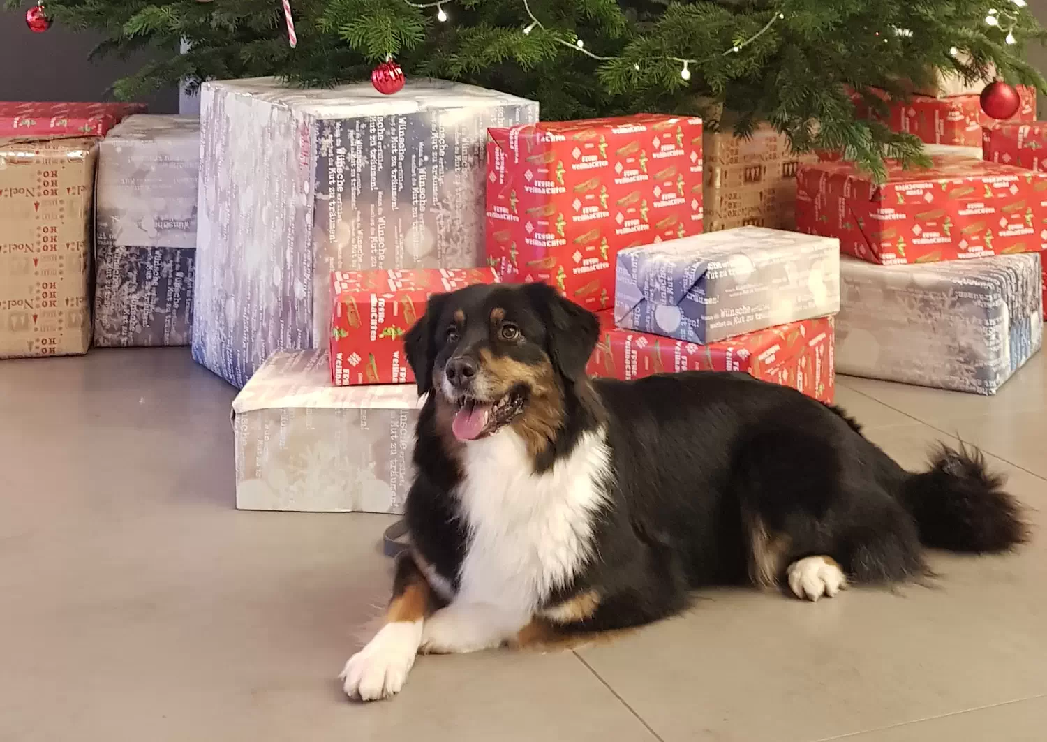 Jahresrückblick 2022